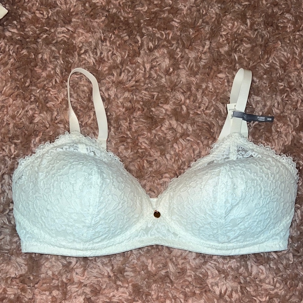 Aerie Plunge Bra
